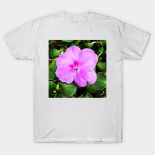 Busy Lizzie/Impatiens walleriana T-Shirt